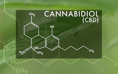 Cannabidiol (CBD) 