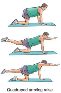 Low Back Pain Exercises New York | Dr jaspal Singh