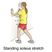 Ankle Sprain Rehabilitation Exercises 