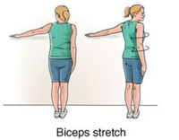 Biceps Tendonitis Exercises New York Shoulder Exercises